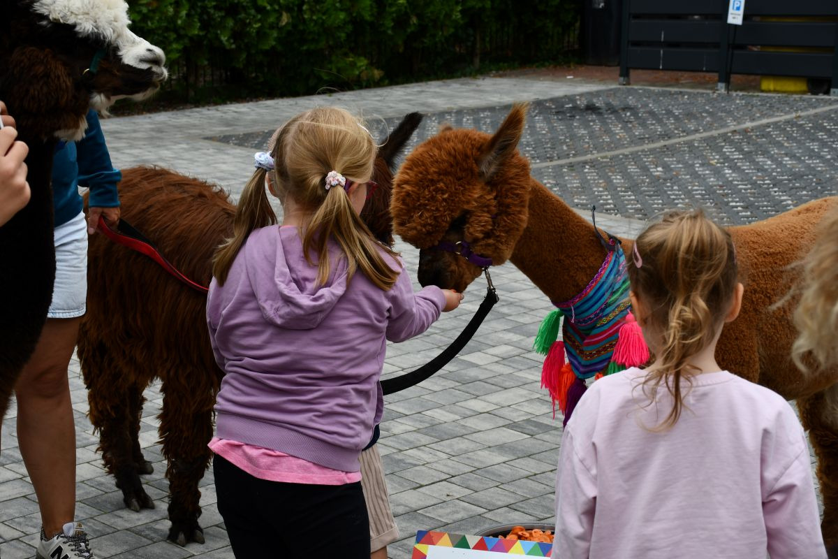 Animals Support Kids